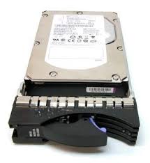22R5032, Жесткий диск IBM DS4000 146GB 10K HDD
