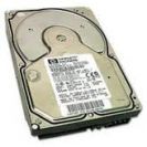 Жесткий диск HP 366486-B21
